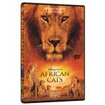 African Cats Documentary  Video  Afrand Software