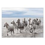 Wensoni Horses At The Sea Chassis 40 x 30