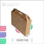 جعبه مدل دار دایکاتی کد CS-B17-3