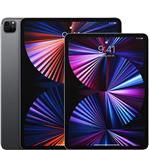 Apple iPad Pro 11 inch 2021 WiFi  2TB Tablet