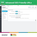 Advanced SEO Friendly URLs 2.2.0