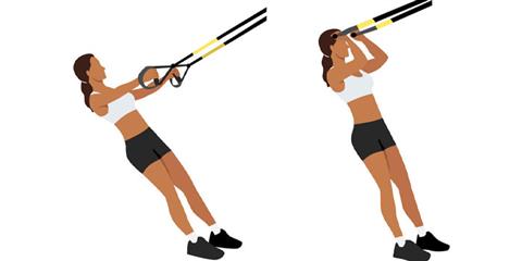 TRX Bicep Curls