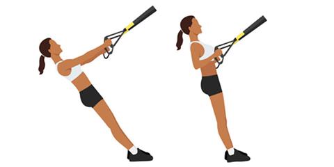 TRX Row