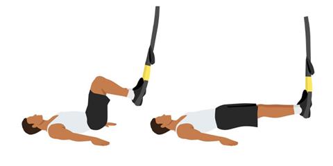 TRX Hamstring Curls