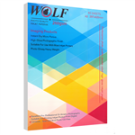 Wolf glossy paper A3 size,  260 g, 50Sh 