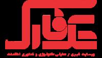 لوگوی رایان