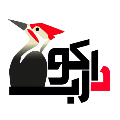 لوگوی طراحی سایت دارکوب