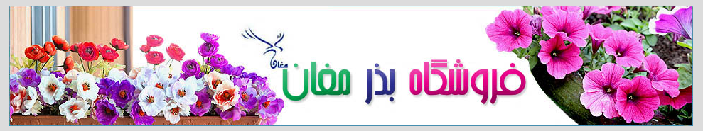 لوگوی بذر مغان