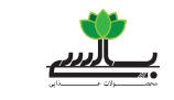 لوگوی بالسی