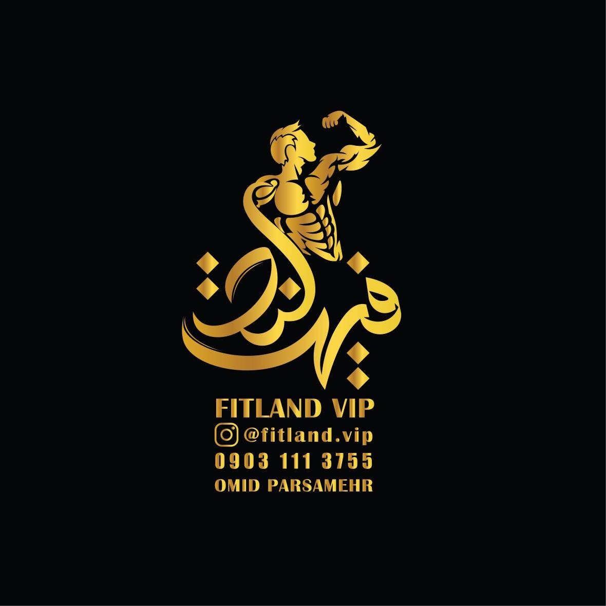 لوگوی فیت لند VIP