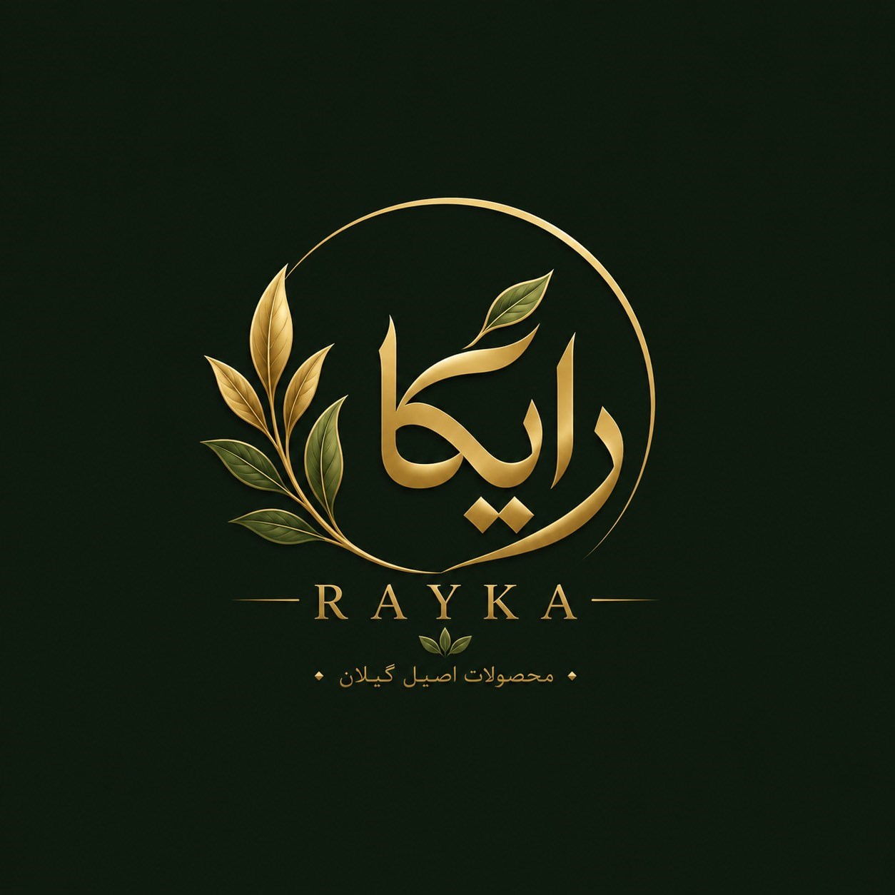 لوگوی رایکا تجارت